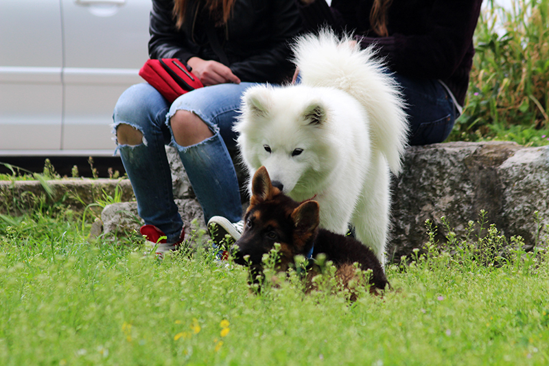 Subotnji šušur u gradu 27. travnja 2013. Foto: Mia Čop Subotnji šušur u gradu 27. travnja 2013. Foto: Mia Čop
