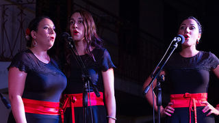 Raspivano Bibinje: 35. tradicionalni susret klapa