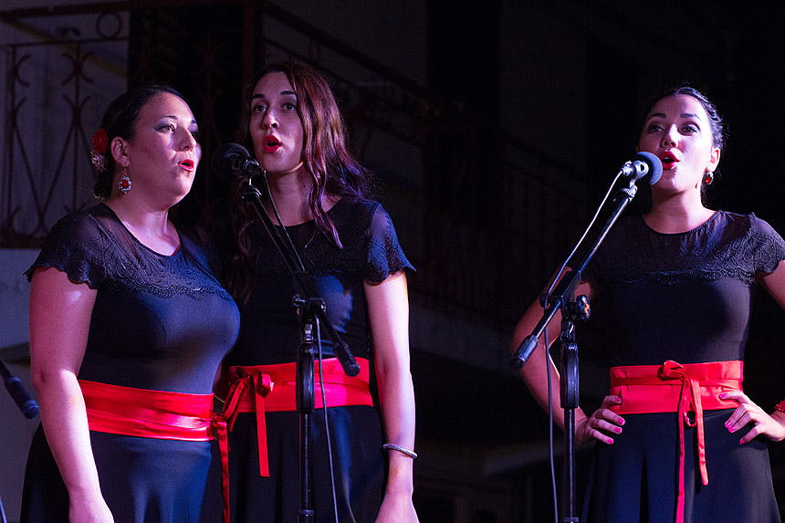 Raspivano Bibinje: 35. tradicionalni susret klapa
