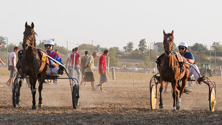 Polača: 14. Međunarodne konjičke utrke “Oluja 95”, Foto: Leo Banić Polača: 14. Međunarodne konjičke utrke “Oluja 95”, Foto: Leo Banić