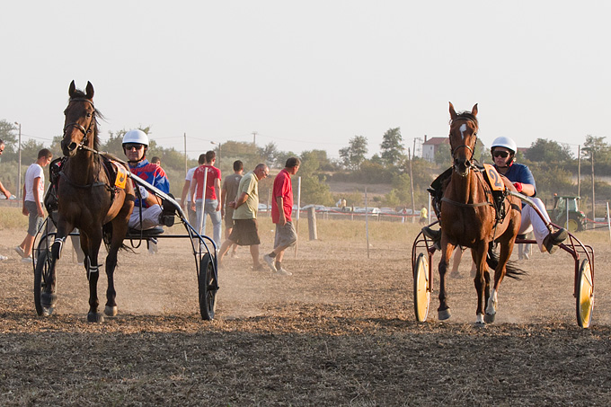 Polača: 14. Međunarodne konjičke utrke “Oluja 95”, Foto: Leo Banić Polača: 14. Međunarodne konjičke utrke “Oluja 95”, Foto: Leo Banić