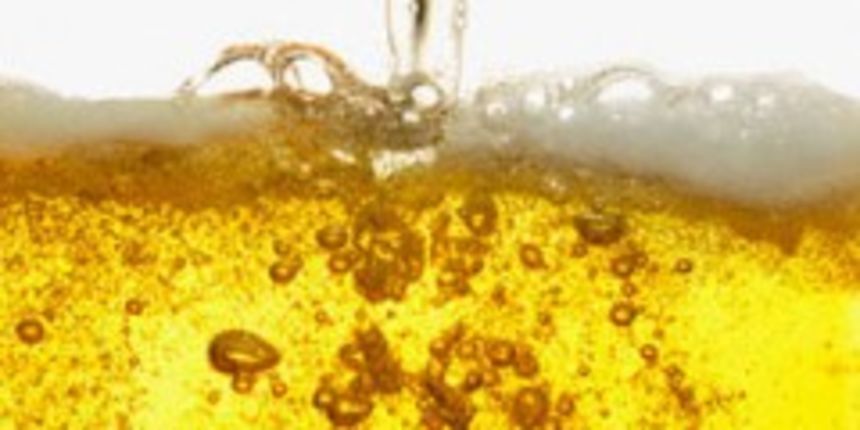 Pivo (Metro-portal.hr)