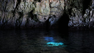 Image 1117665 (auto)