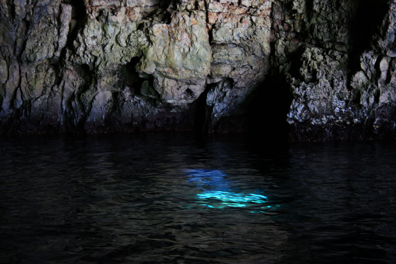 Image 1117665 (auto)