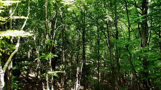 Pogled na impozantni Kremen