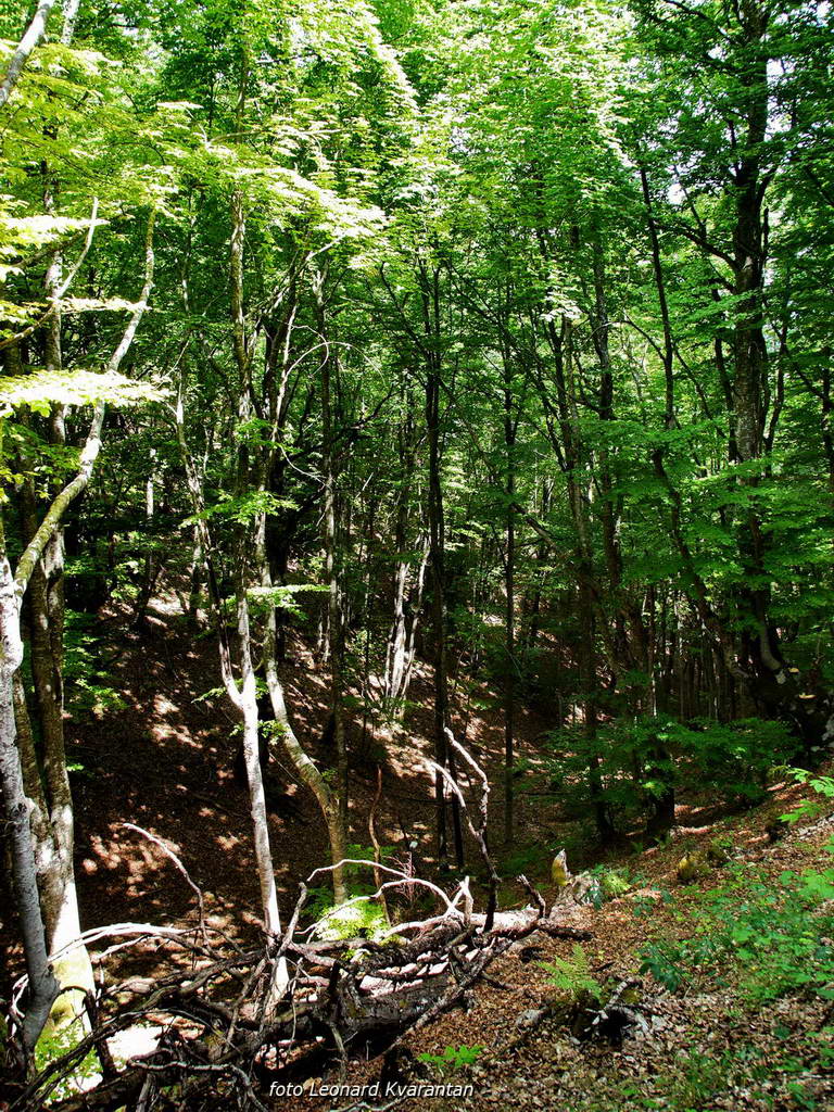 Pogled na impozantni Kremen