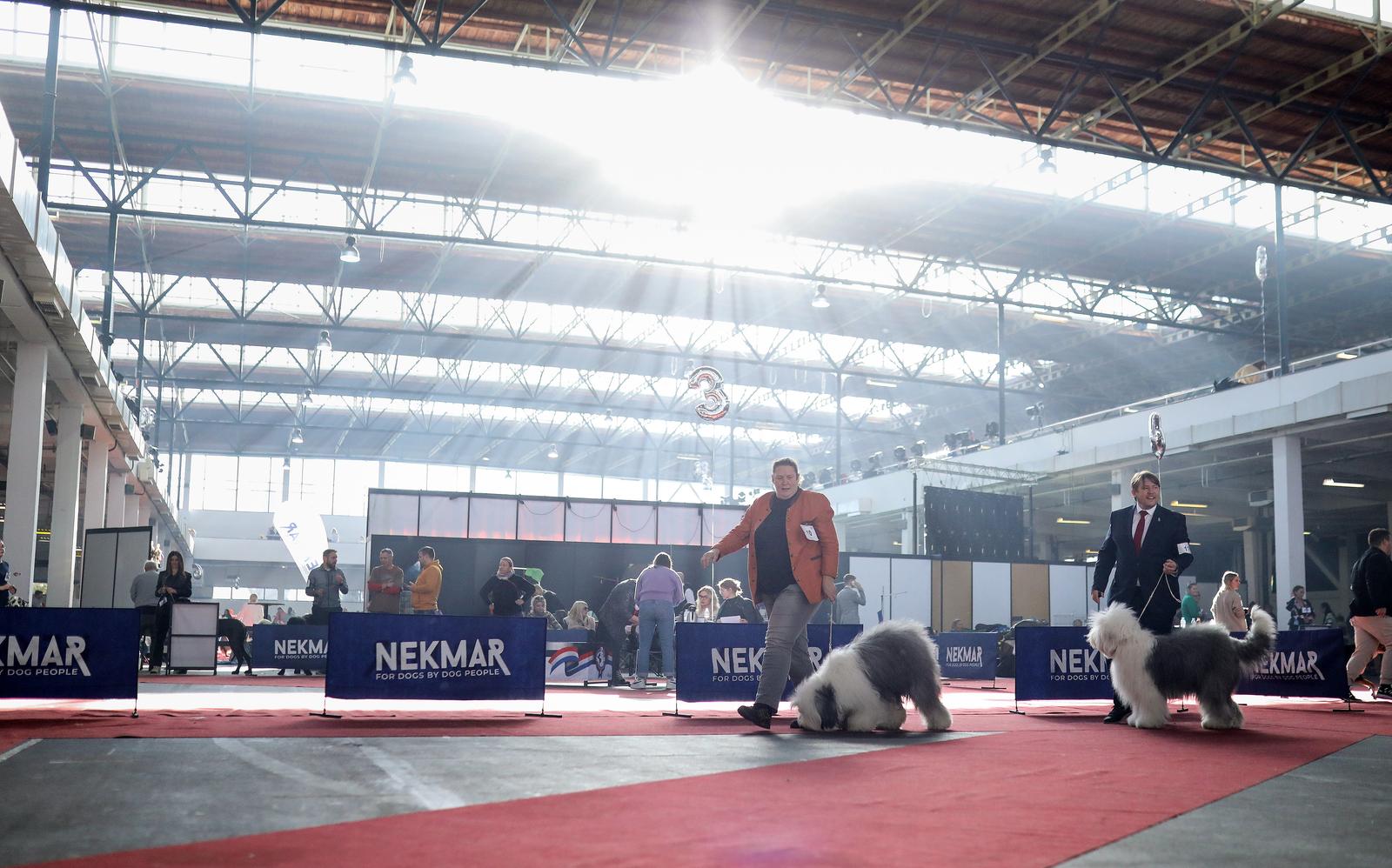 Izložba pasa na Zagrebačkom velesajmu Izložba pasa na Zagrebačkom velesajmu