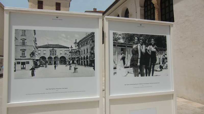 Otvorena izložba “Prijatelji mora”
