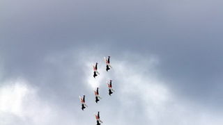 Krila oluje nad zadarskom rivom 11. listopada 2013. Foto: Iva Perinčić Krila oluje nad zadarskom rivom 11. listopada 2013. Foto: Iva Perinčić