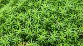 Samoborsko gorje, studeni 2010