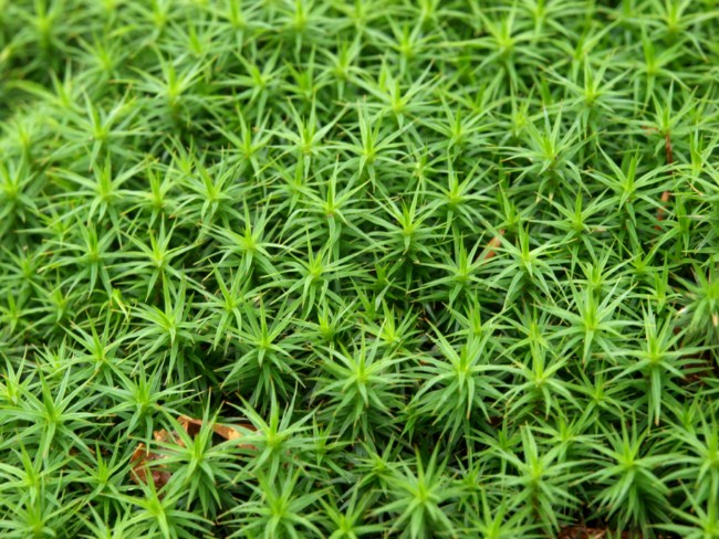 Samoborsko gorje, studeni 2010