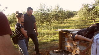 Hotel za solitarne pčele i druge korisne kukce u ekološkom masliniku OPG-a Čirjak