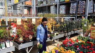 bauMax Zadar: -15% dan 19. ožujka 2014, Foto: Roberto Lerga bauMax Zadar: -15% dan 19. ožujka 2014, Foto: Roberto Lerga