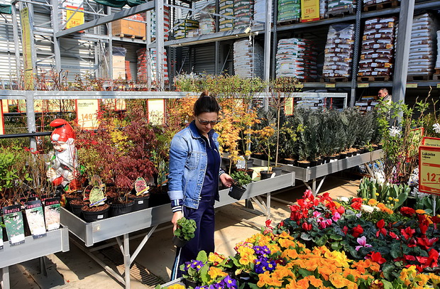 bauMax Zadar: -15% dan 19. ožujka 2014, Foto: Roberto Lerga bauMax Zadar: -15% dan 19. ožujka 2014, Foto: Roberto Lerga