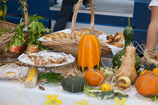 “Dani kruha 2011” u bibinjskoj OŠ “Stjepan Radić”, Foto: Leo Banić