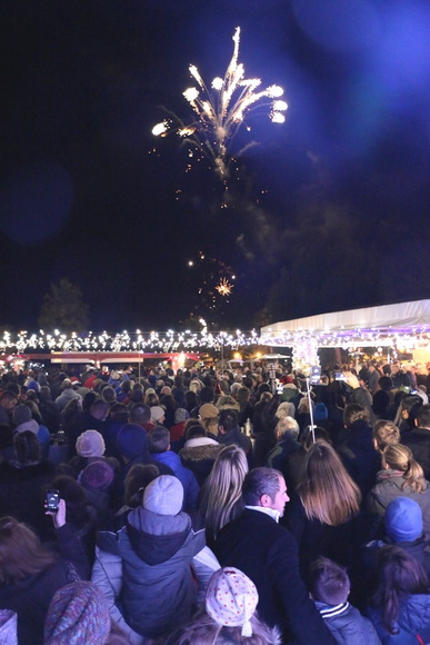 Virani 2016. godinu dočekali uz Lidiju Bačić, Leteći odred i spektakularan vatromet Virani 2016. godinu dočekali uz Lidiju Bačić, Leteći odred i spektakularan vatromet