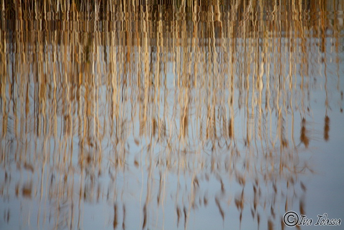 Đir uz Vransko jezero, Foto: Iva Perinić Đir uz Vransko jezero, Foto: Iva Perinić