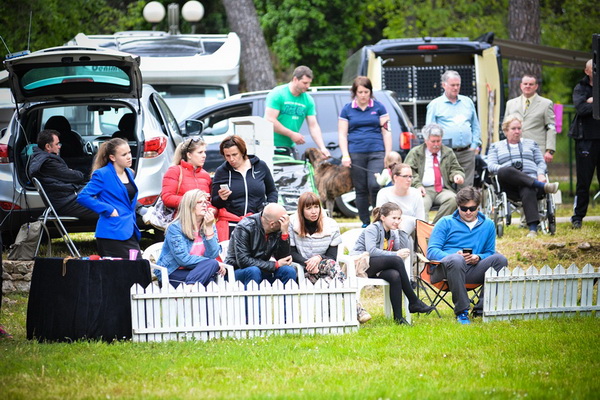 16. Međunarodna izložba pasa CACIB Zadar – Prvak prvaka 2016. 16. Međunarodna izložba pasa CACIB Zadar – Prvak prvaka 2016.