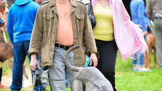 16. Međunarodna izložba pasa CACIB Zadar – Prvak prvaka 2016. 16. Međunarodna izložba pasa CACIB Zadar – Prvak prvaka 2016.