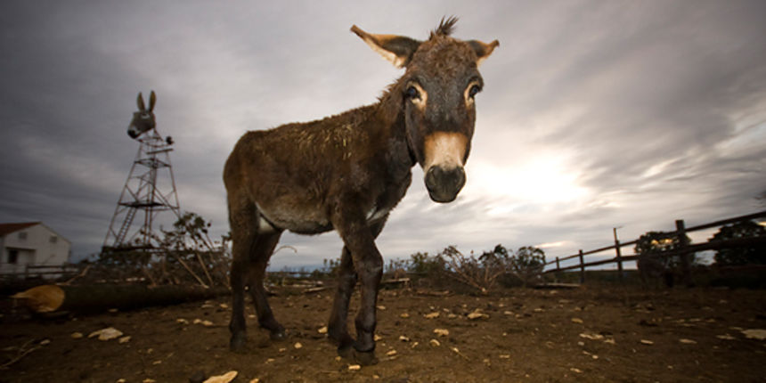 Farma “Dar-mar” (foto:Saša Čuka)