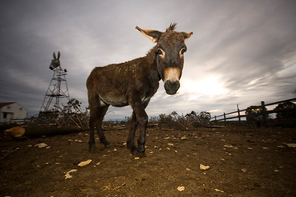 Farma “Dar-mar” (foto:Saša Čuka)