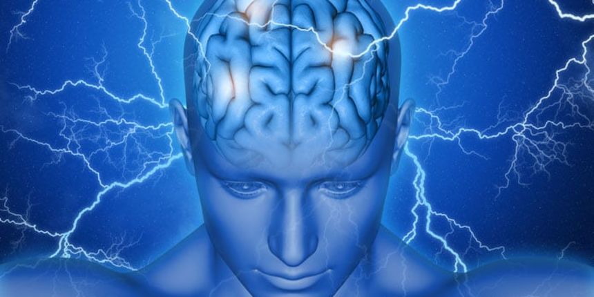 Mozak, glava Mozak, glava