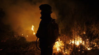 Zadar, 070311. Vatrogasci iz Zadra od popodnevnih sati bore se sa pozarom koji je izbio na podrucju izmedju Zadra i Murvice, tocnije na predjelu Baricevici. Foto: Jure Miskovic / CROPIX