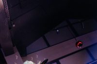 Disco fever A’mare