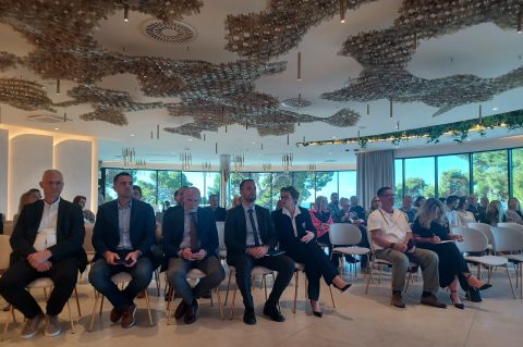 pinija, sime erlic pinija, sime erlic