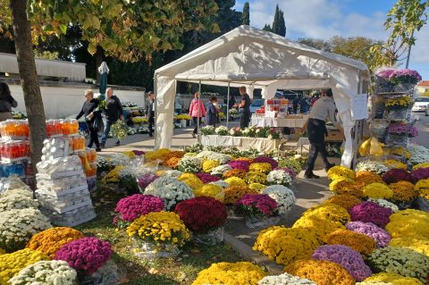 1000068964 1000068964