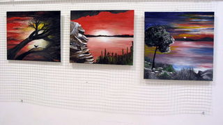 Josip Portada: Pag u boji