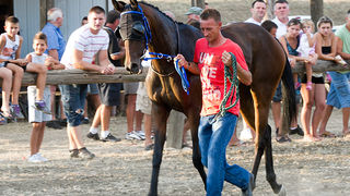 Polača: 14. Međunarodne konjičke utrke “Oluja 95”, Foto: Leo Banić Polača: 14. Međunarodne konjičke utrke “Oluja 95”, Foto: Leo Banić