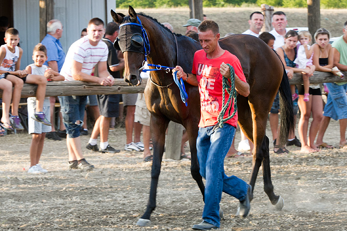 Polača: 14. Međunarodne konjičke utrke “Oluja 95”, Foto: Leo Banić Polača: 14. Međunarodne konjičke utrke “Oluja 95”, Foto: Leo Banić