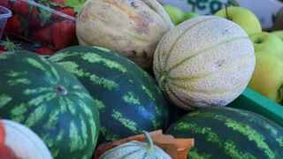 Image 1200375 (auto)