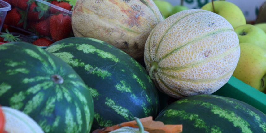 Image 1200375 (auto)