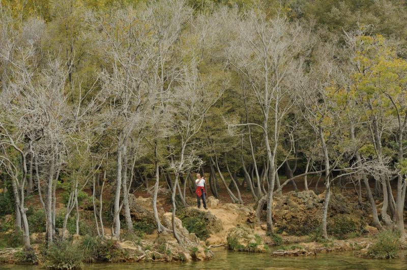 Jesenske boje i ljepote Nacionalnog parka Slapovi Krke oduševljavaju i dalje mnogobrojne turiste iz cijeloga svijeta. Photo: Hrvoje Jelavic/PIXSELL Jesenske boje i ljepote Nacionalnog parka Slapovi Krke oduševljavaju i dalje mnogobrojne turiste iz cijeloga svijeta. Photo: Hrvoje Jelavic/PIXSELL
