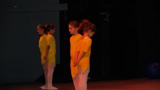 Plesno kazalisna udruga Zalet