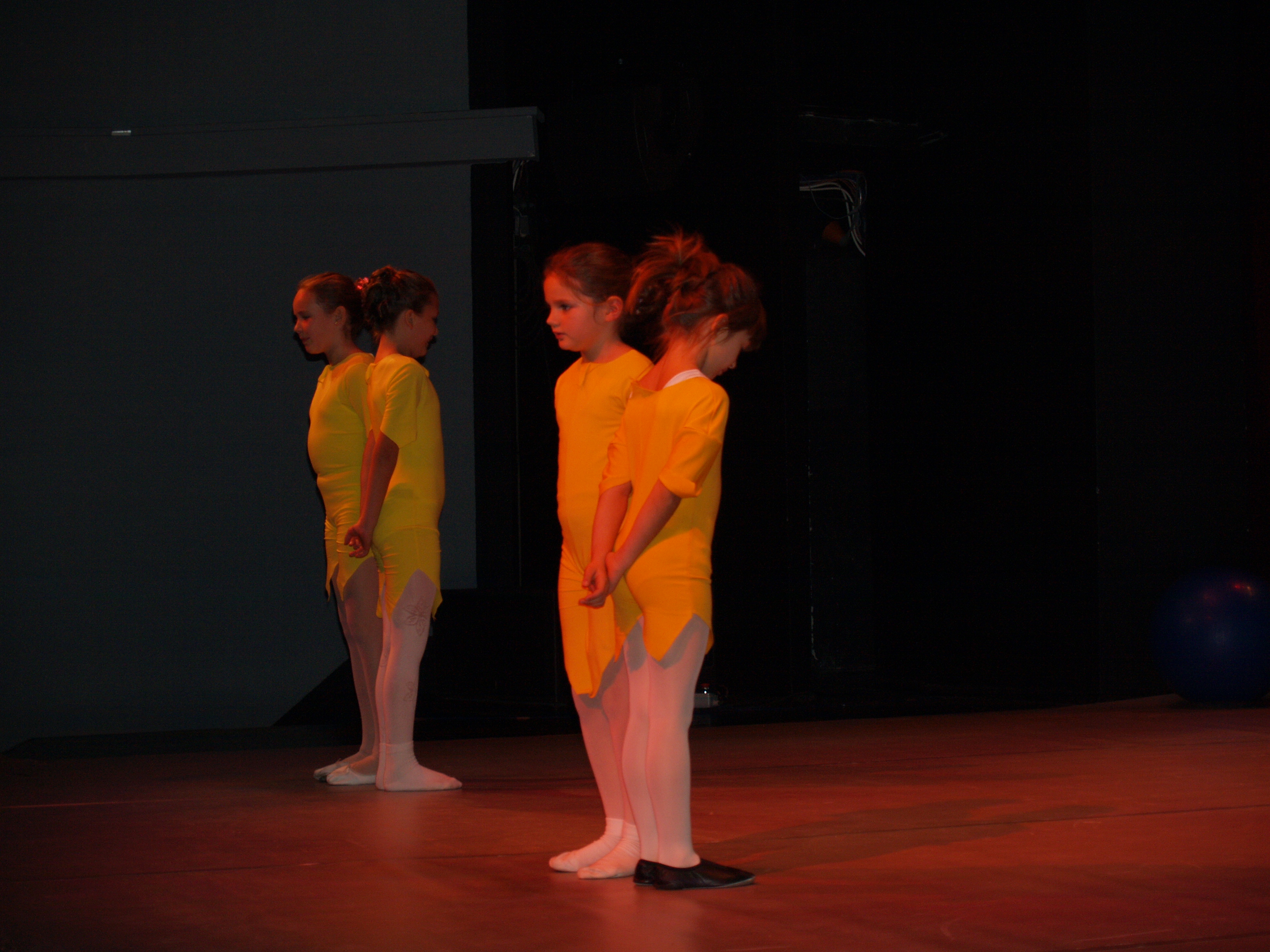 Plesno kazalisna udruga Zalet