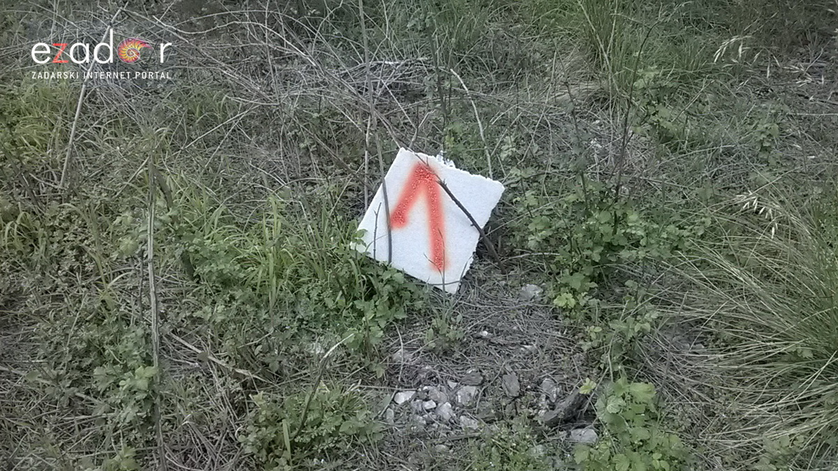 Ovako izgleda Park šuma Musapstan nakon akcije “Zelena čistka” Ovako izgleda Park šuma Musapstan nakon akcije “Zelena čistka”