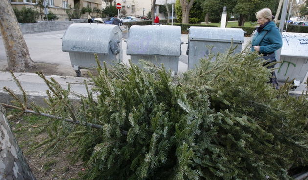 Split, 070113.
Bozicne jelke odbacene uz kontejnere za smece.
Foto: Duje Klaric / CROPIX