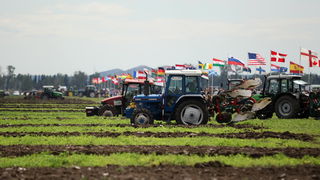 Jankolovica, Biograd, 150912. 
U Jankolovici kraj Biograda odrzan je drugi dan 59. Svjetskog prvenstva u oranju. Ovo natjecanje u oranju odrzava se od 1953. godine, a Hrvatska se ukljucila 2005. godine.
Na fotografiji: detalj s manifestacije. 
Foto: Jure