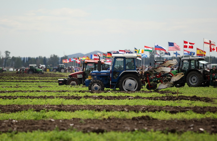 Jankolovica, Biograd, 150912. 
U Jankolovici kraj Biograda odrzan je drugi dan 59. Svjetskog prvenstva u oranju. Ovo natjecanje u oranju odrzava se od 1953. godine, a Hrvatska se ukljucila 2005. godine.
Na fotografiji: detalj s manifestacije. 
Foto: Jure