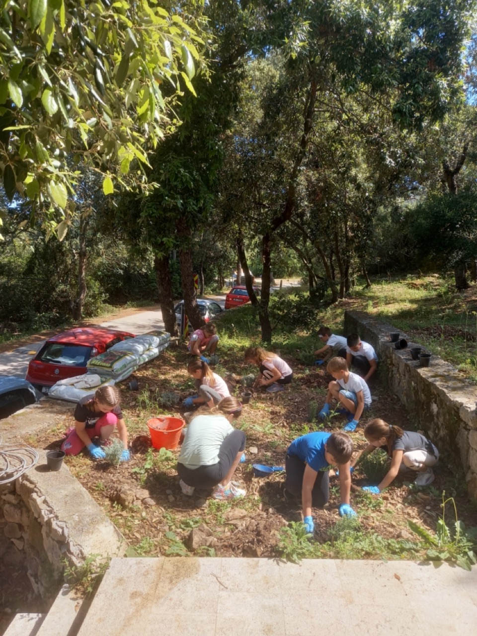 U sklopu Međunarodnog dana biološke raznolikosti u Nacionalnom parku Mljet organizirane eko aktivnosti za učenike