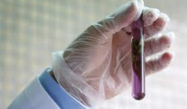 Je li naša znanost uistinu tako jadna?, foto: novilist.hr