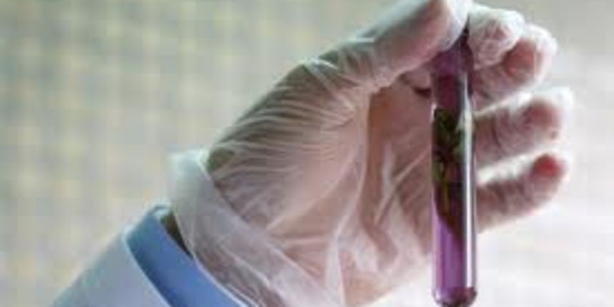 Je li naša znanost uistinu tako jadna?, foto: novilist.hr