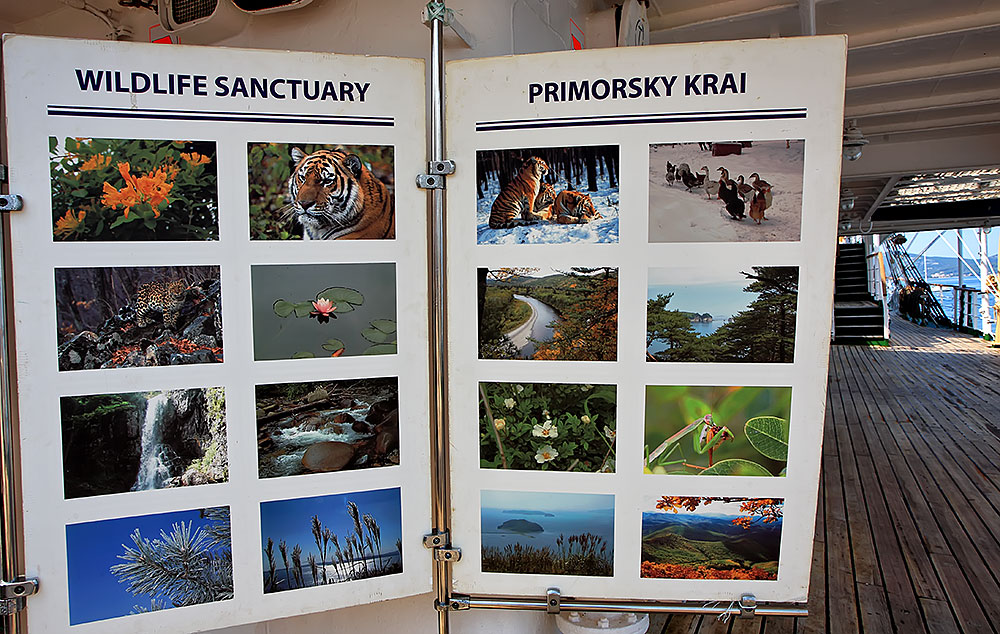 Ruski školski jedrenjak “Nadežda” u zadarskoj luci, foto: Roberto Lerga