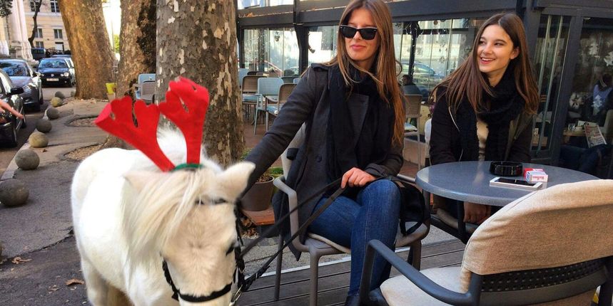 Petra i Tea u đir gradom s konjem Kanom