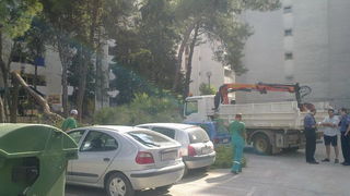 Sruseni bor u ulici Ante Starcevica