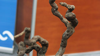 Otvoren 8. sajam “Eko etno Hrvatska” (foto:Saša Čuka) Otvoren 8. sajam “Eko etno Hrvatska” (foto:Saša Čuka)