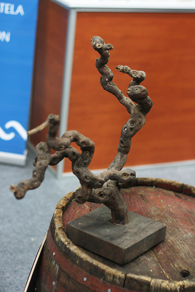 Otvoren 8. sajam “Eko etno Hrvatska” (foto:Saša Čuka) Otvoren 8. sajam “Eko etno Hrvatska” (foto:Saša Čuka)